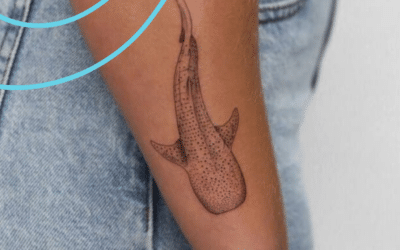 24 Sea-Inspired Tattoos: Waves, Shells, Whales, and Sharks