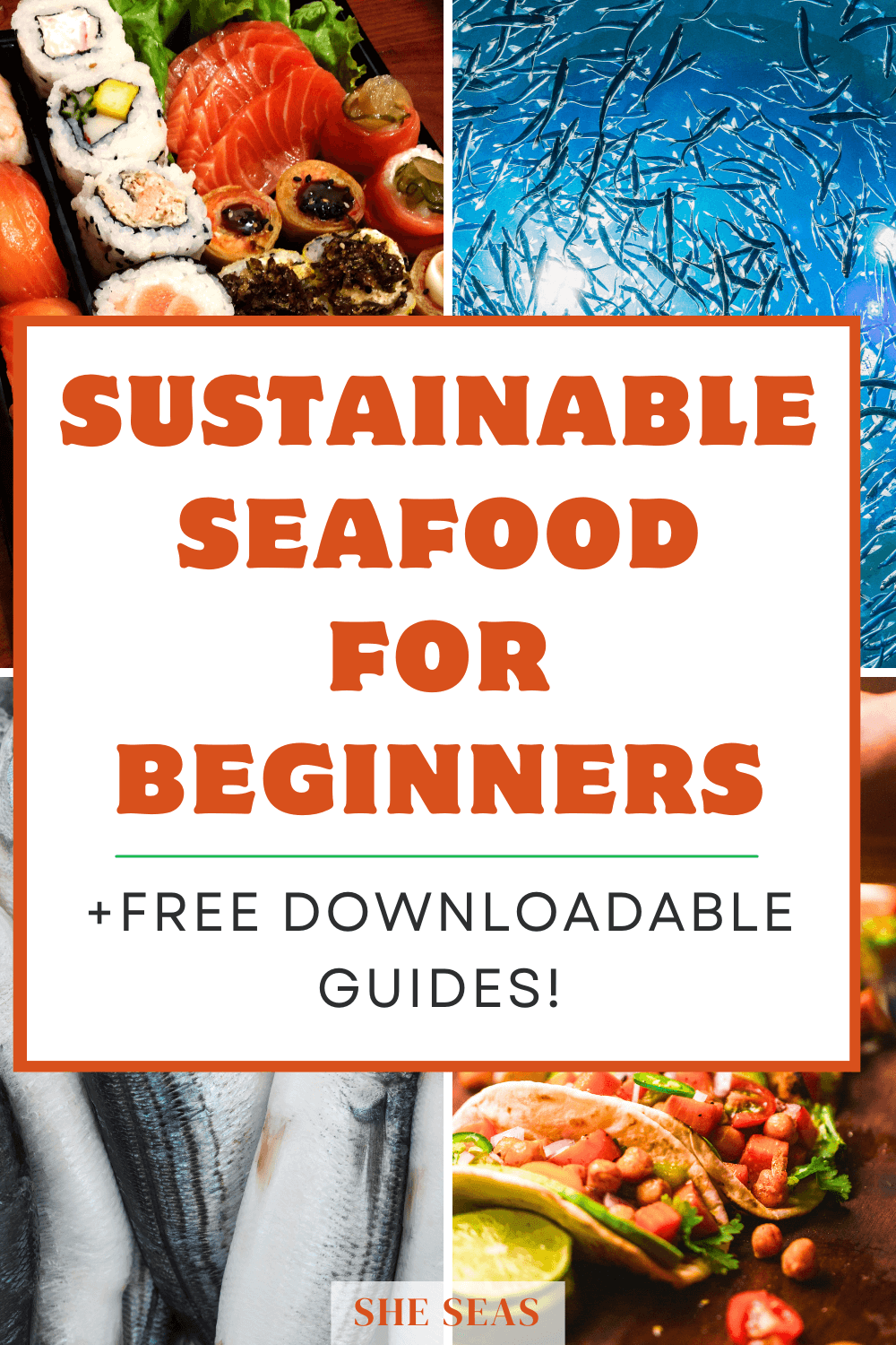 sustainable seafood pin