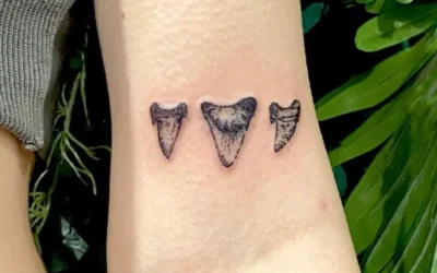 26 Shark Tooth Tattoos for Women