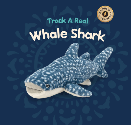 shark plushie gifts for women ocean lovers