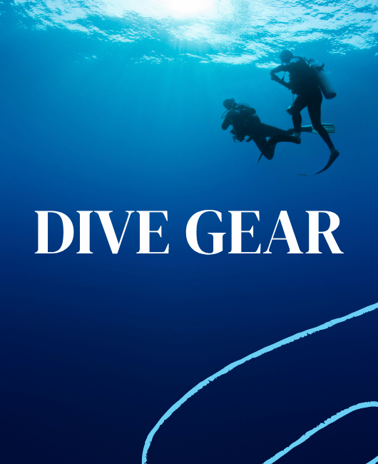 scuba dive gear essentials reviews
