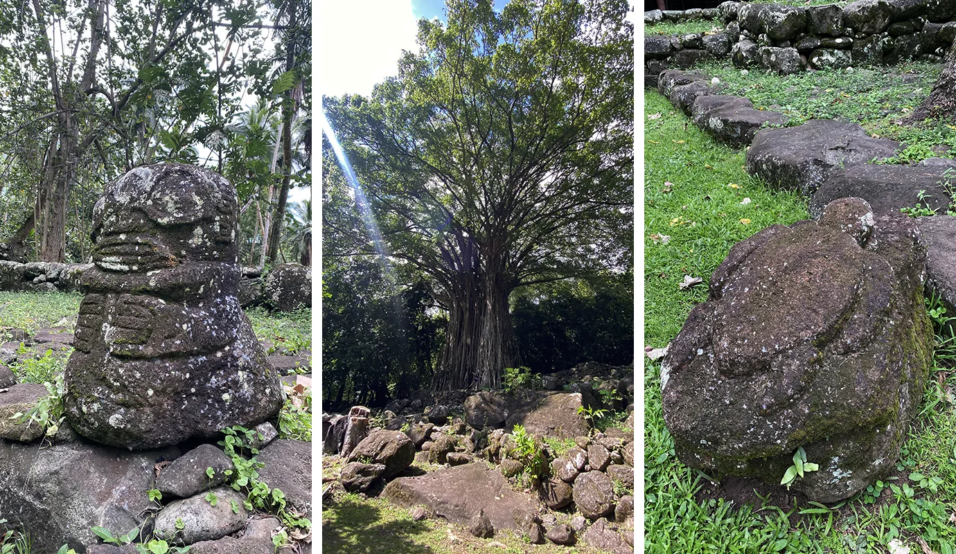 kamuihei banyan tree ruins